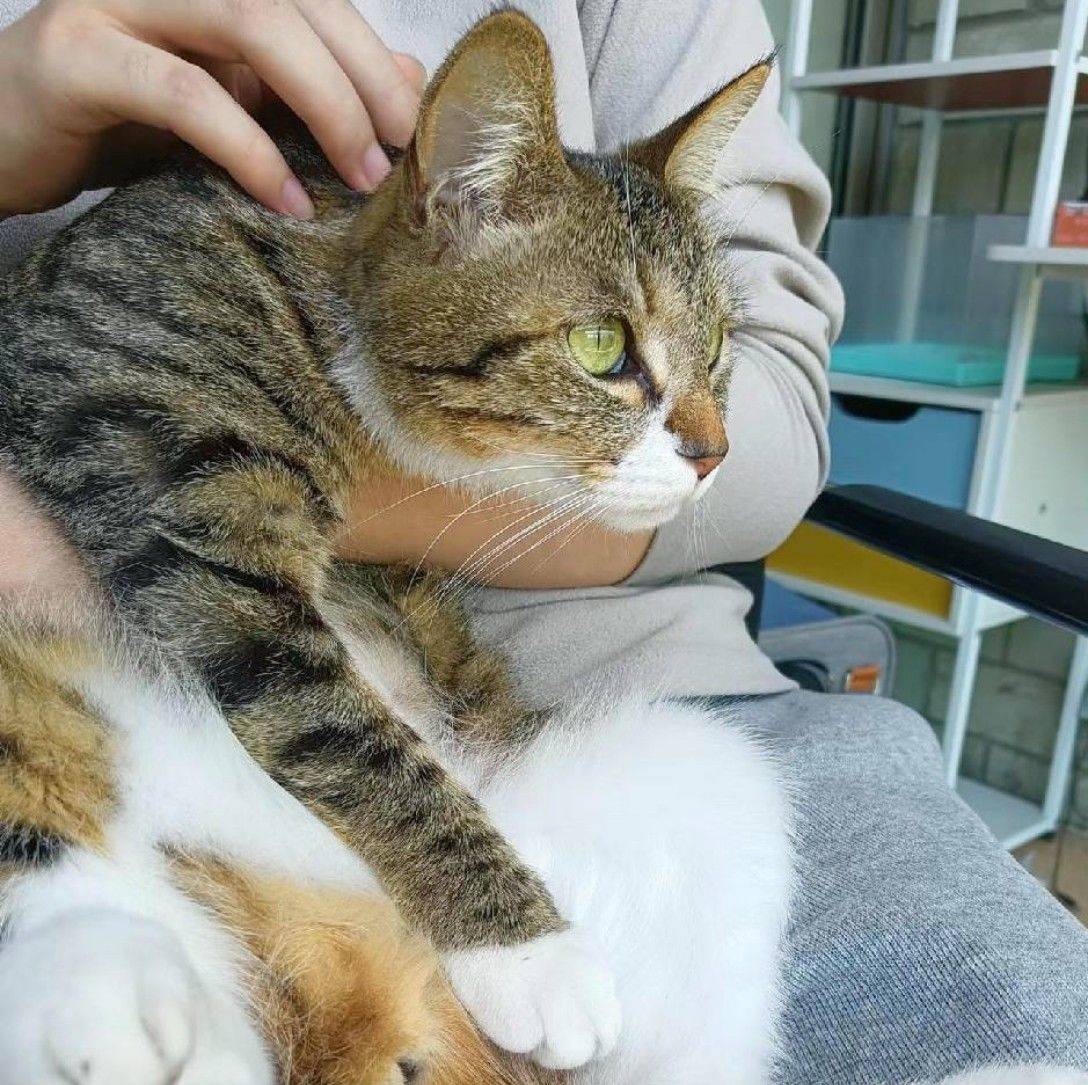 郭先森