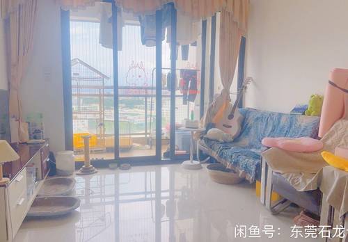 石龙 龙城国际(龙升路)