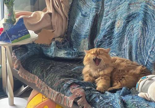 石龙 龙城国际(龙升路)