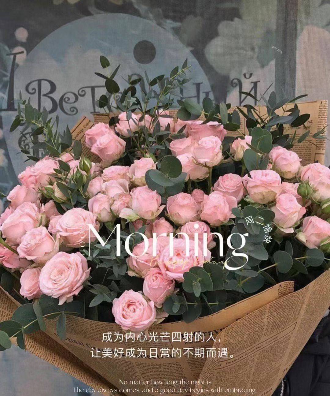 杨老师