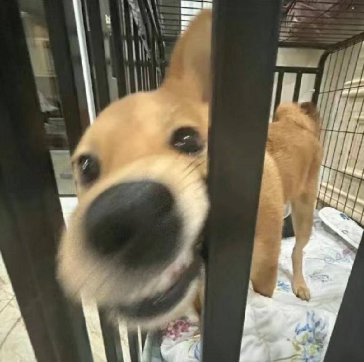 一条咸鱼🐟