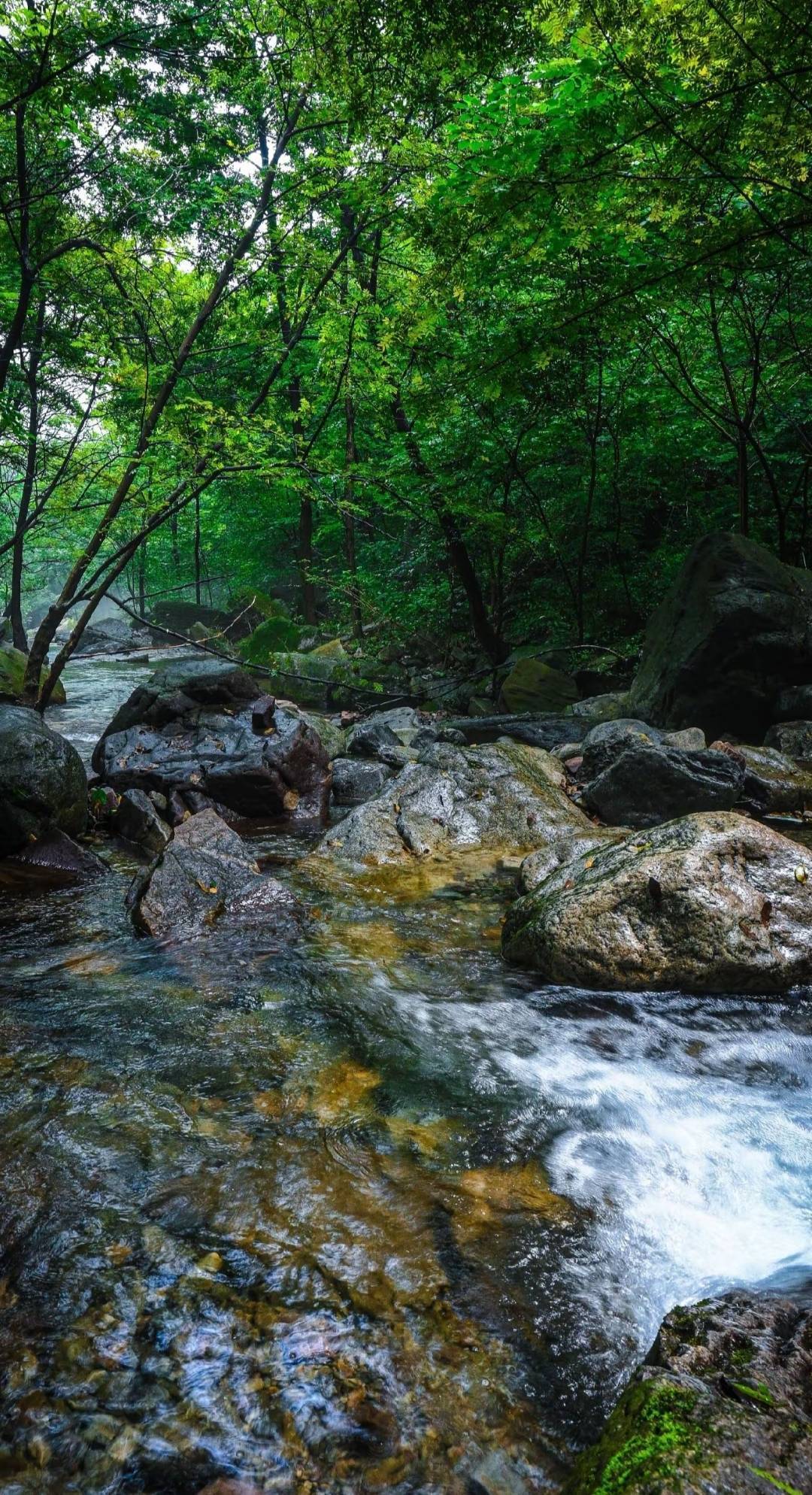 lujingru
