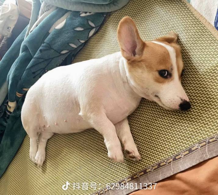 你好