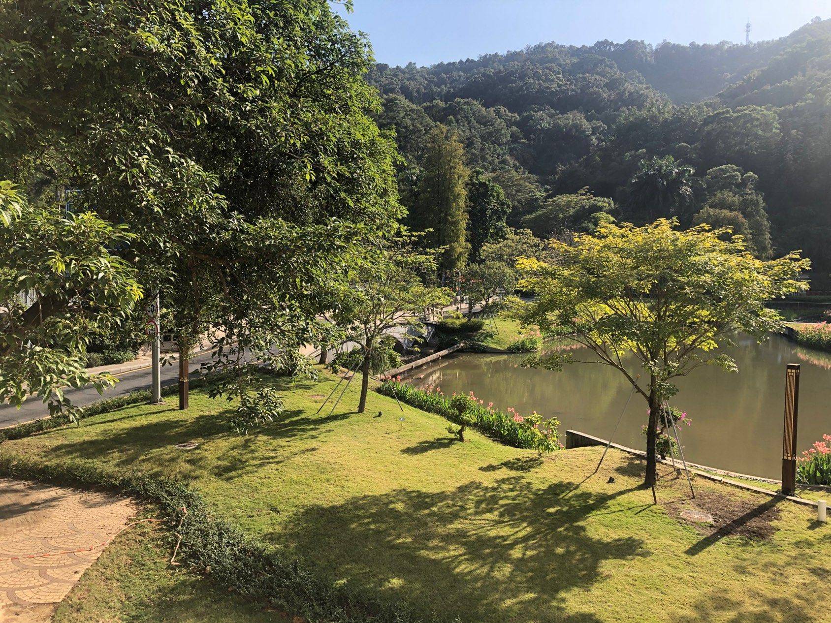 深圳 罗湖 | 银田花园_6