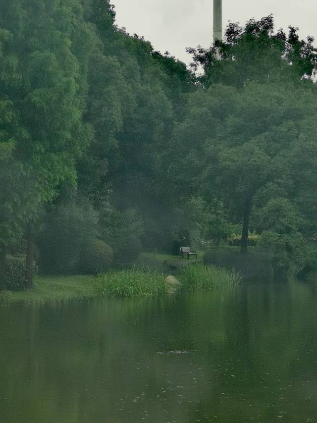春风十里