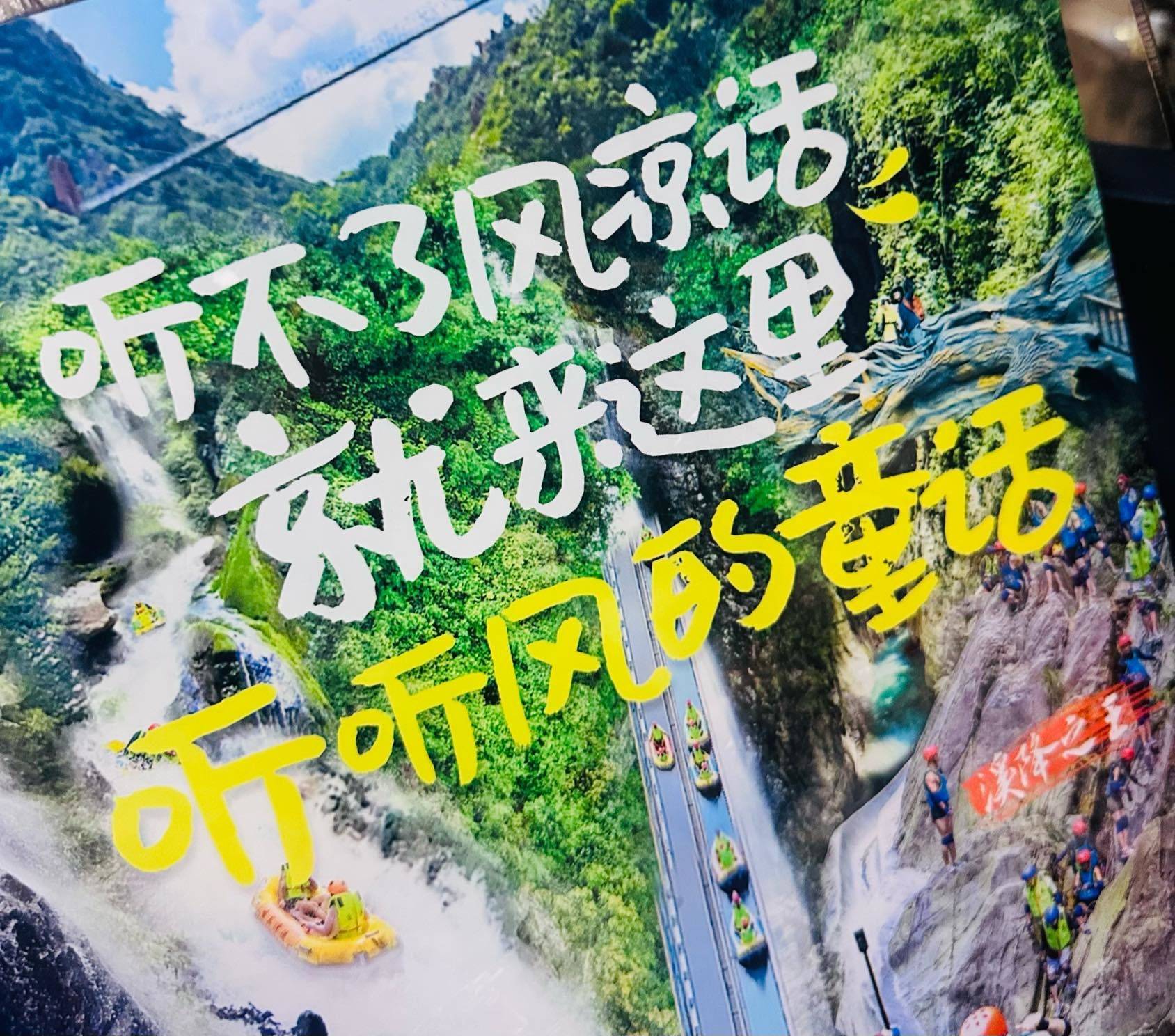 刘大大