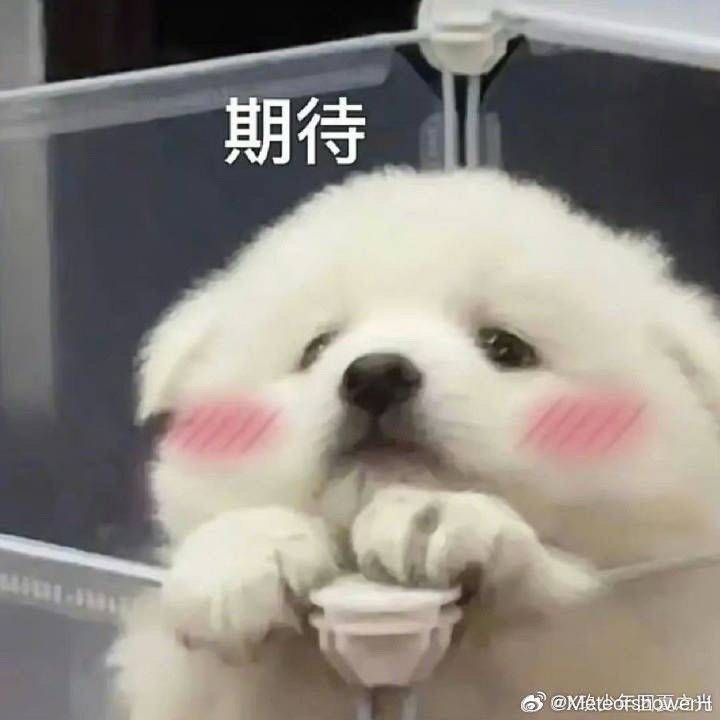 欧气来来来