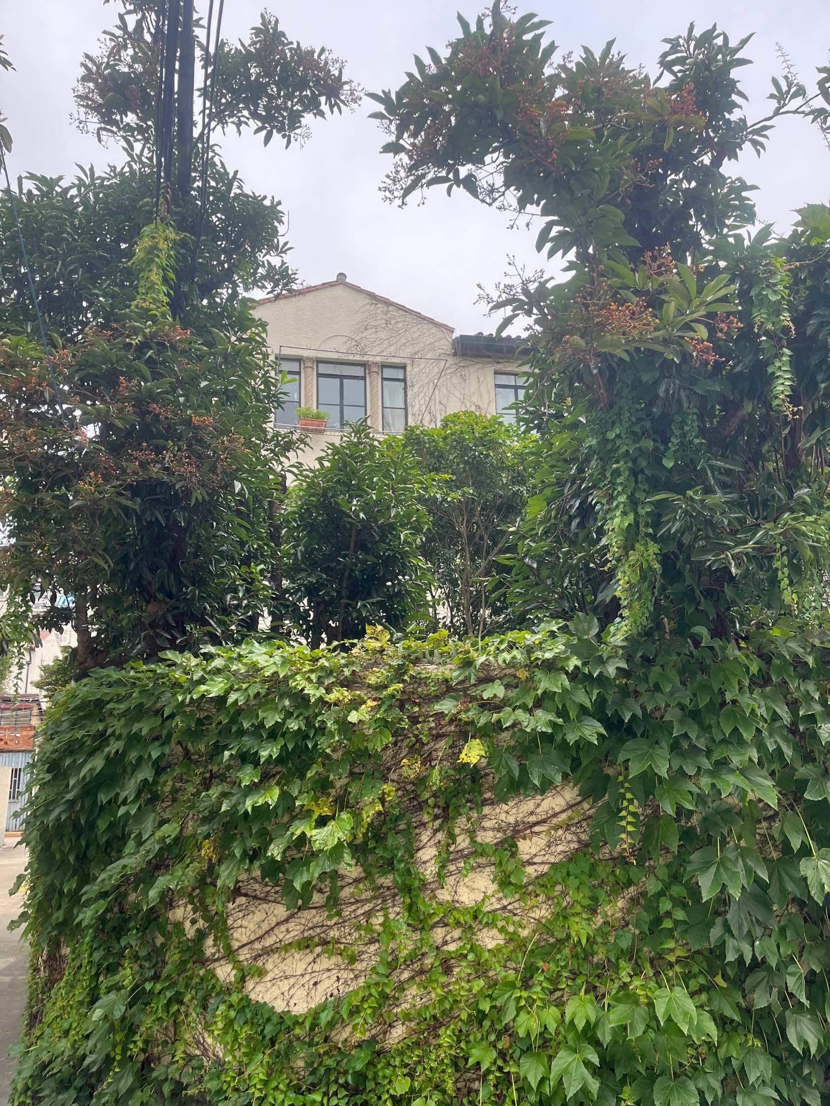 上海-徐匯-上班族首选,溫馨小窩,乾淨治愈,不限性別