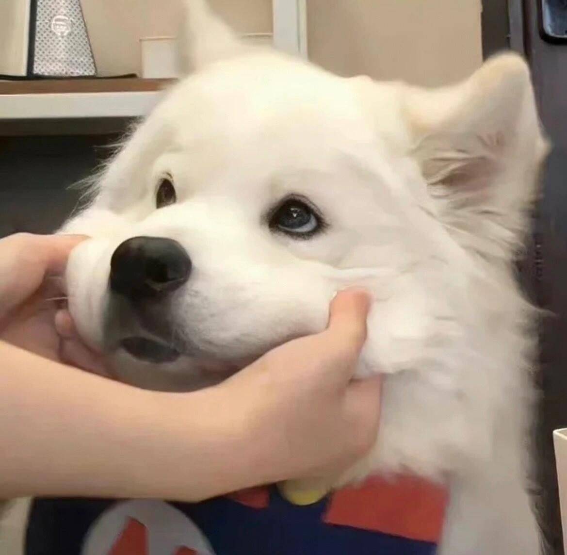 凹凹