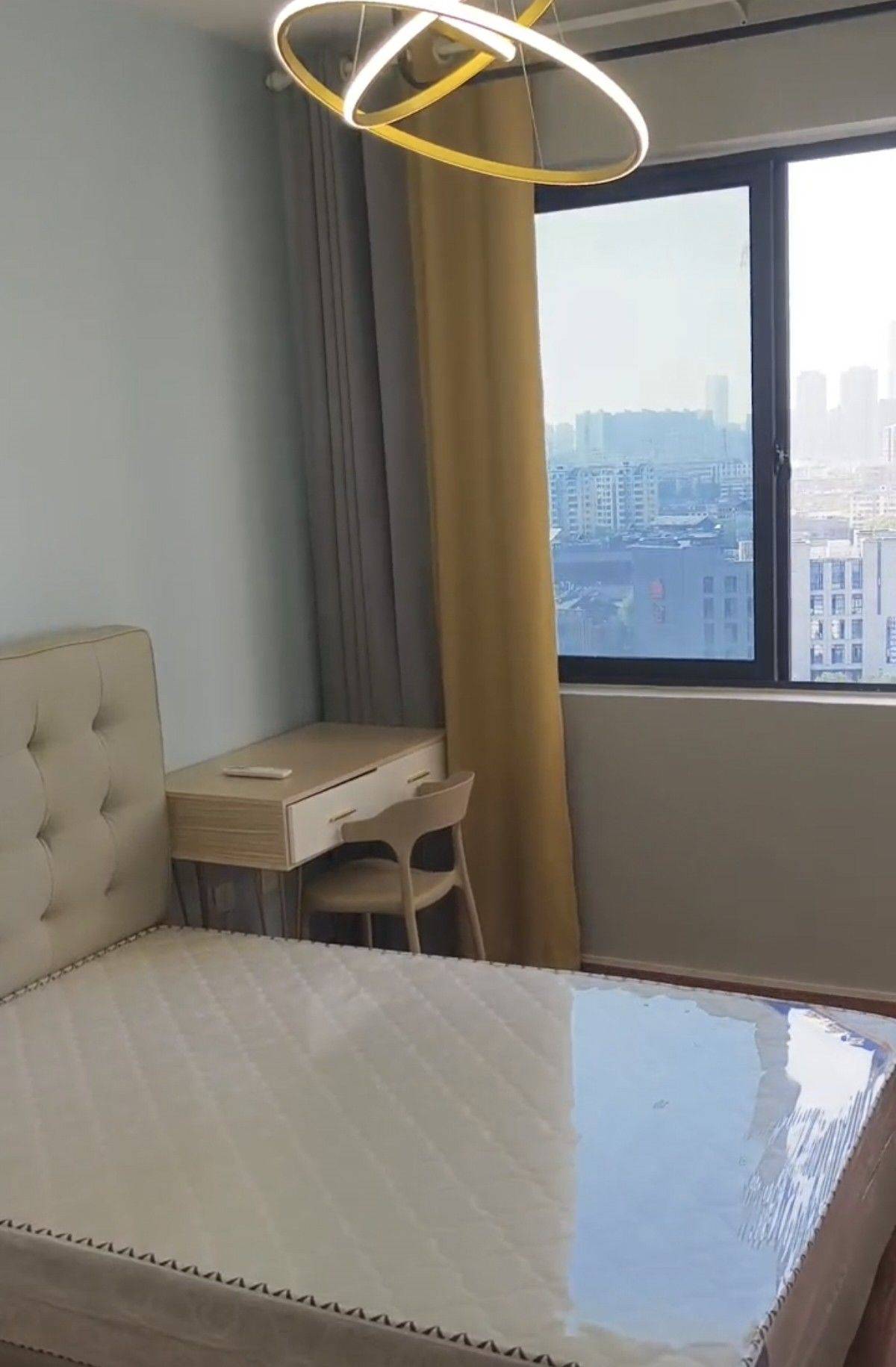 Hefei-Baohe-Pet Friendly