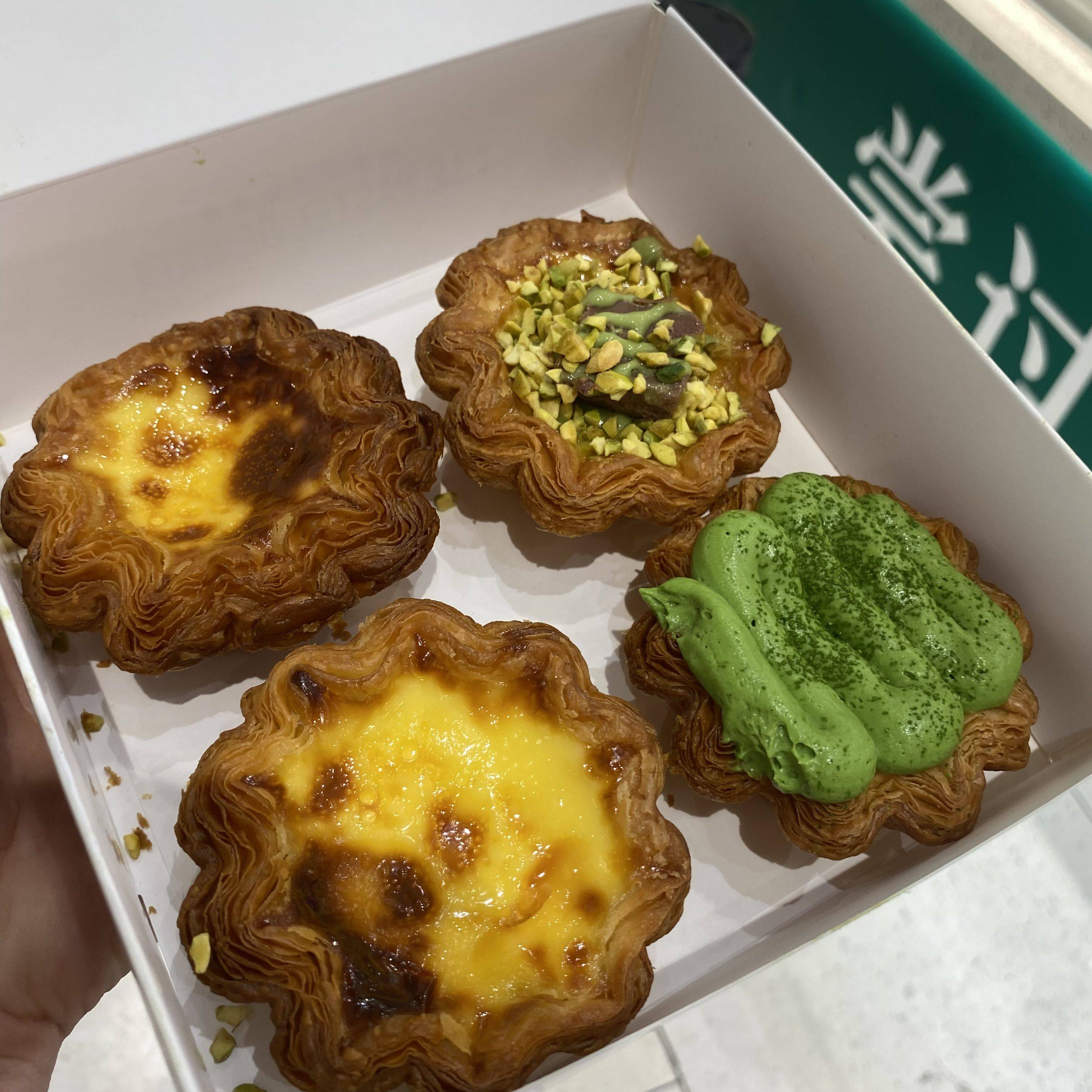 一条猫