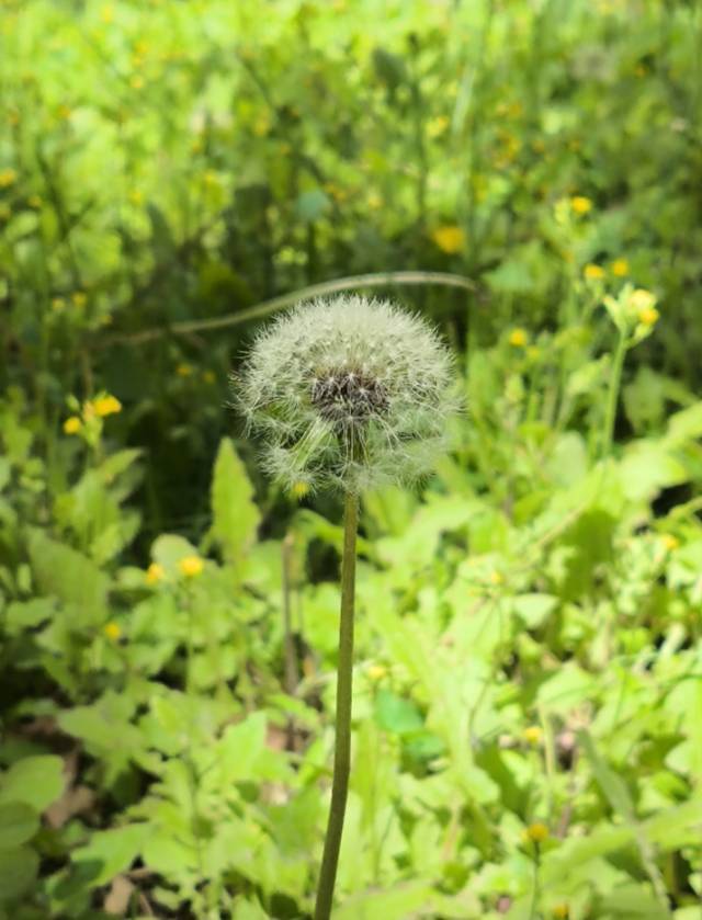 暖