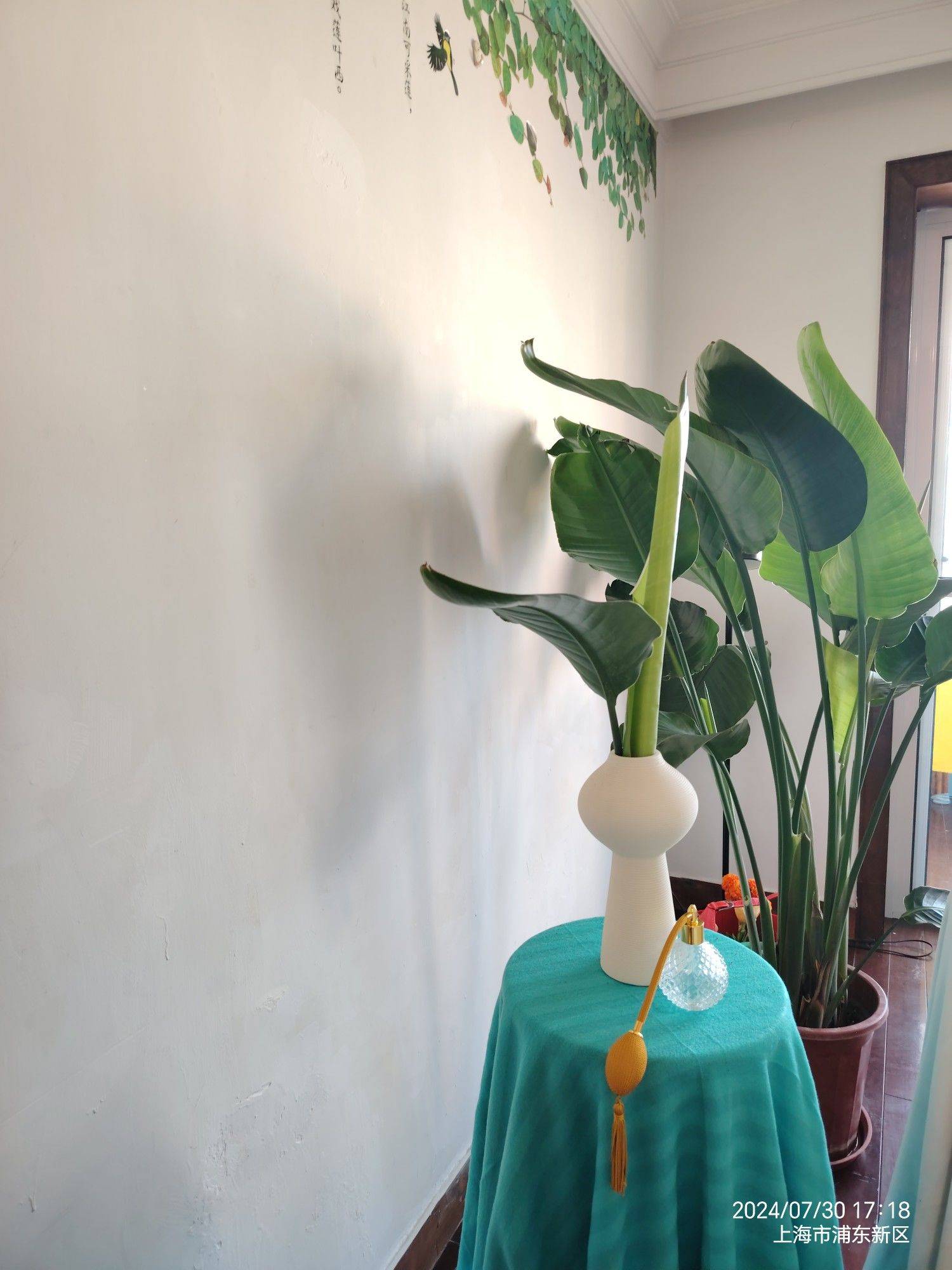 lucas驾到，通通闪开！_1