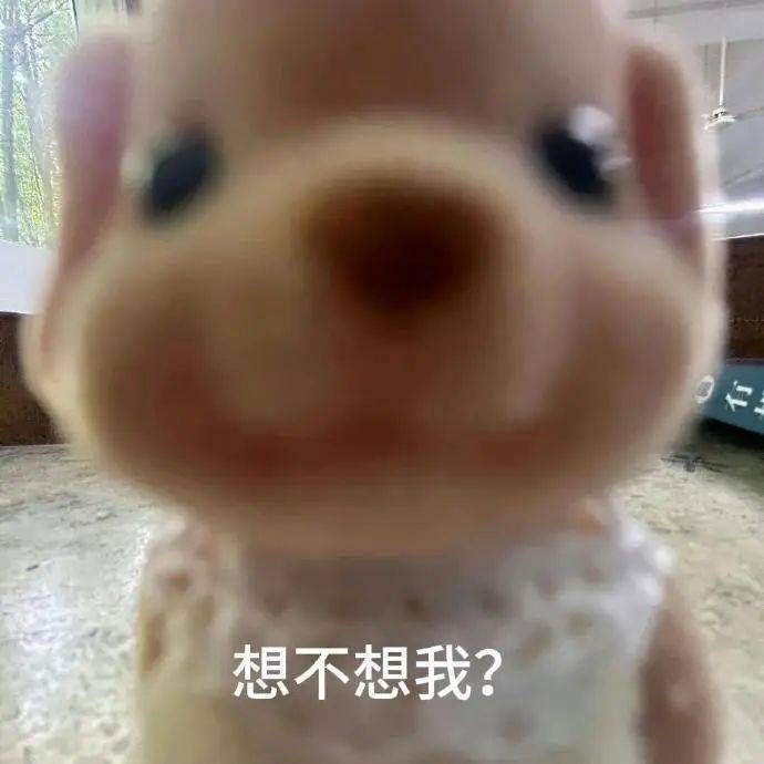孙