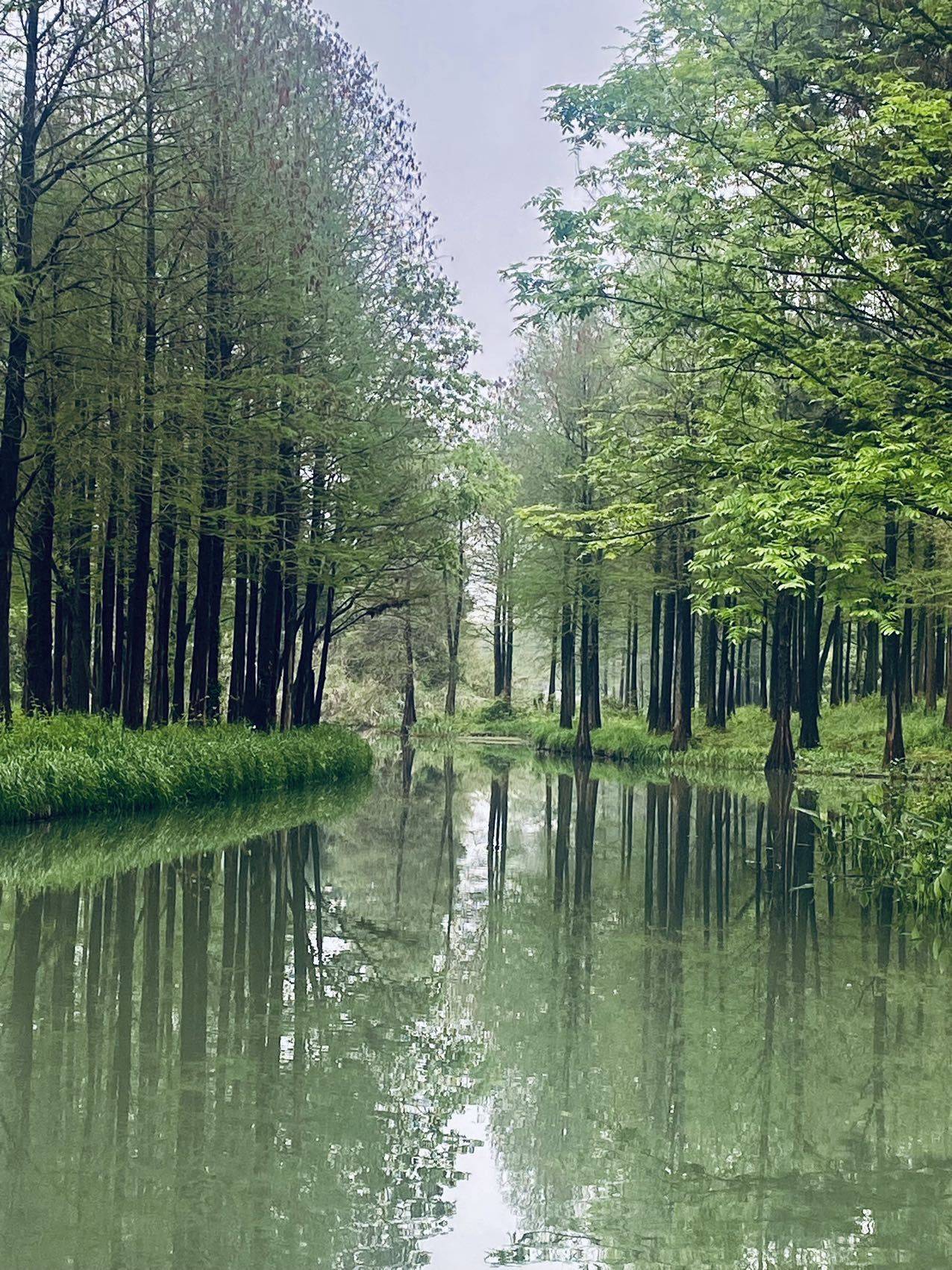 对方正在喝奶茶