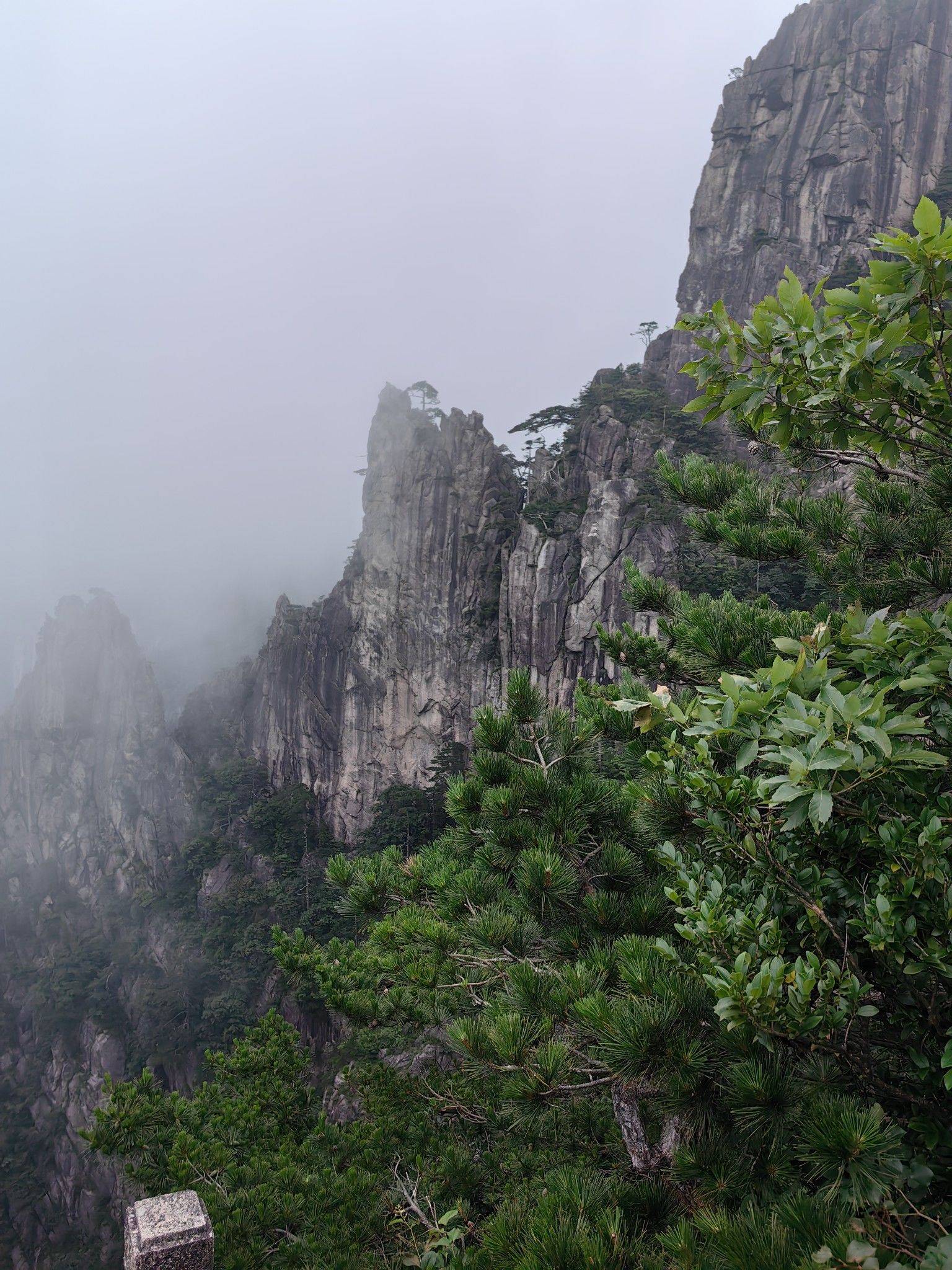 魔都六环