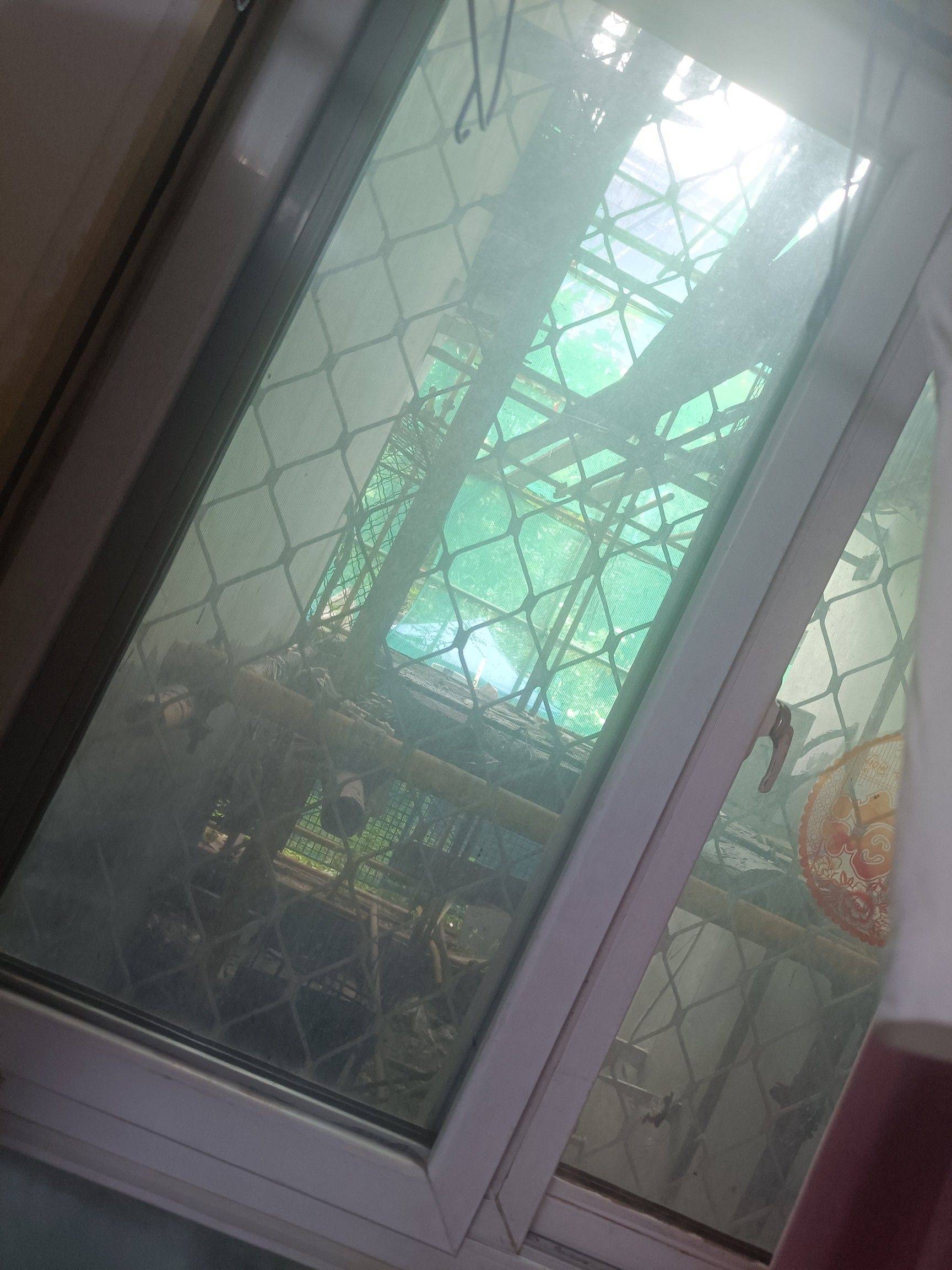 北京-海淀-温馨小窝,干净治愈,不限性别,老友记,慢时光