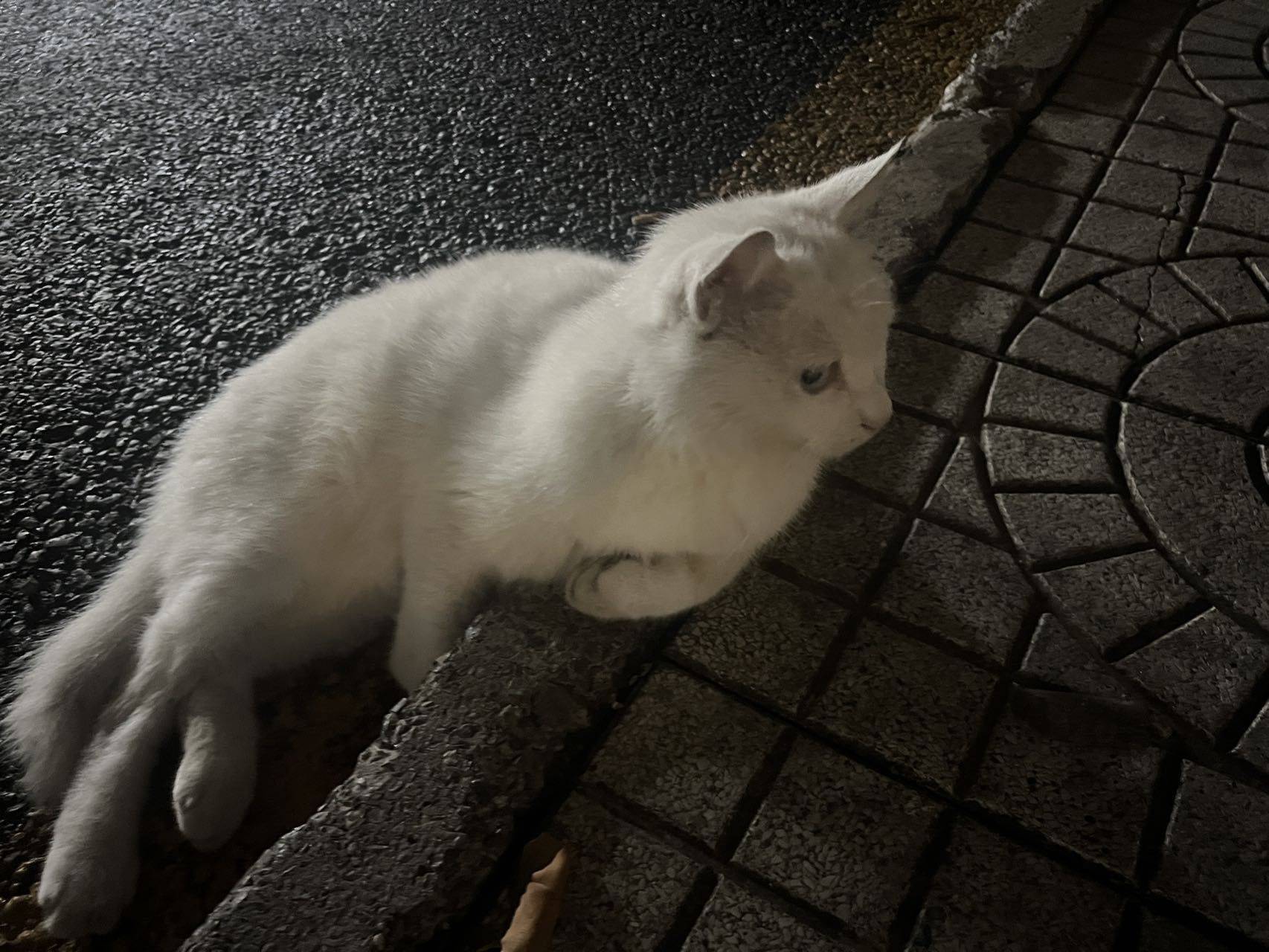 涵涵