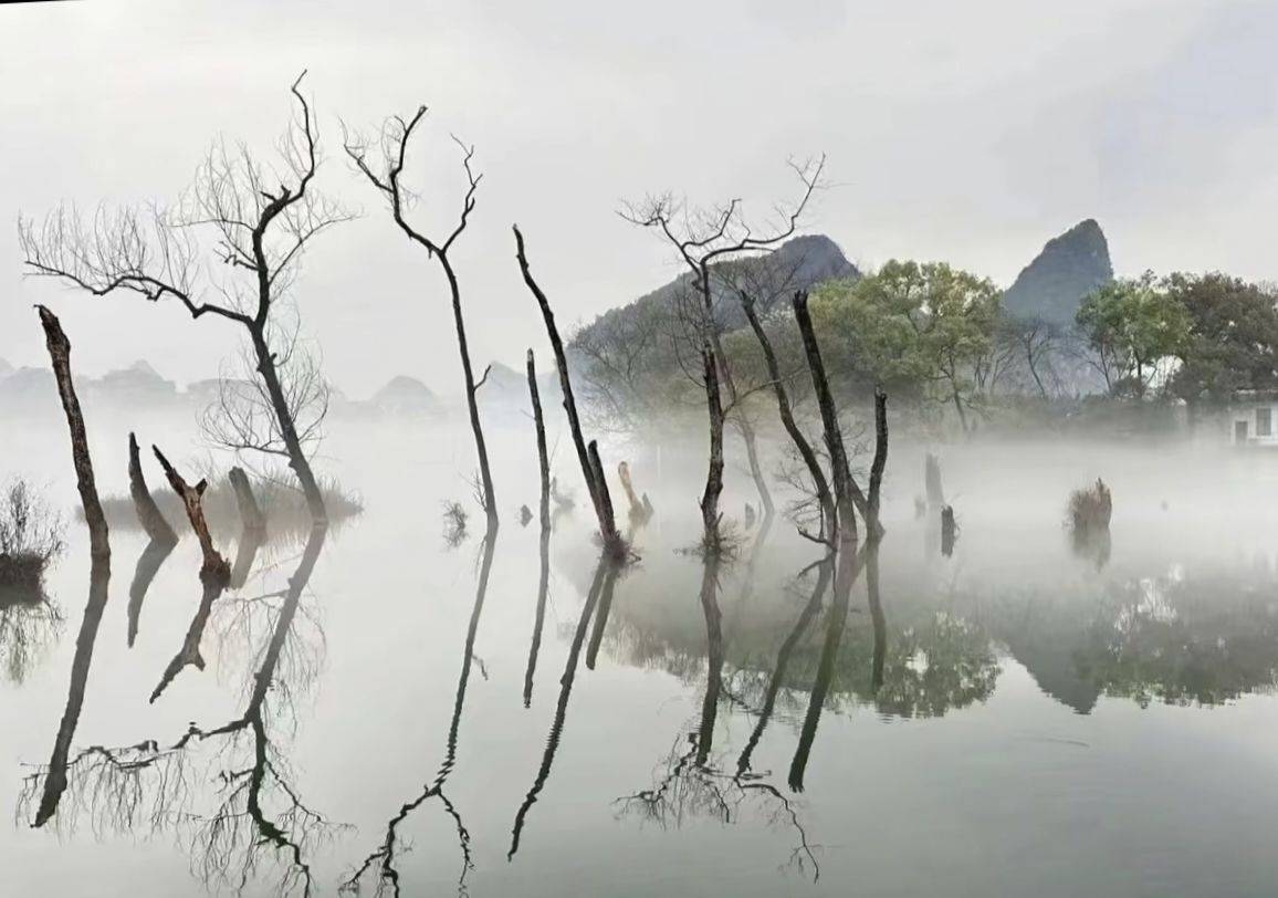 心如止水