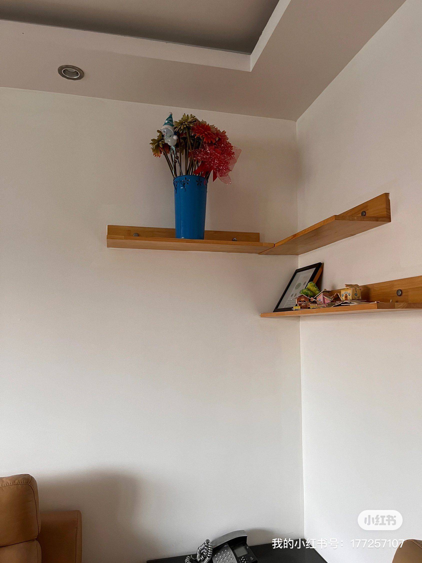 Shanghai-Pudong-Cozy Home,Hustle & Bustle,LGBTQ Friendly,Pet Friendly