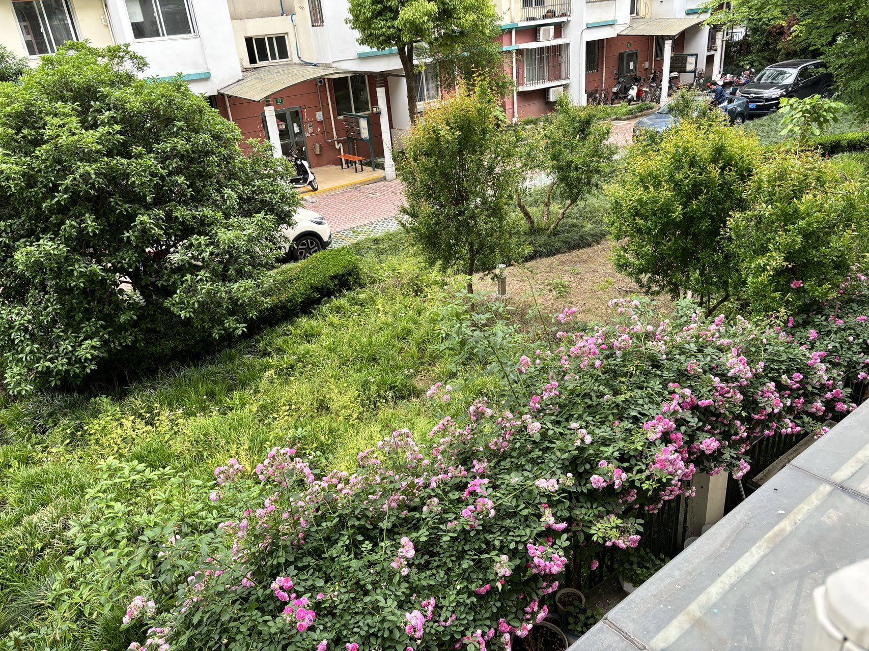 上海 宝山 | 远景佳苑1期_5