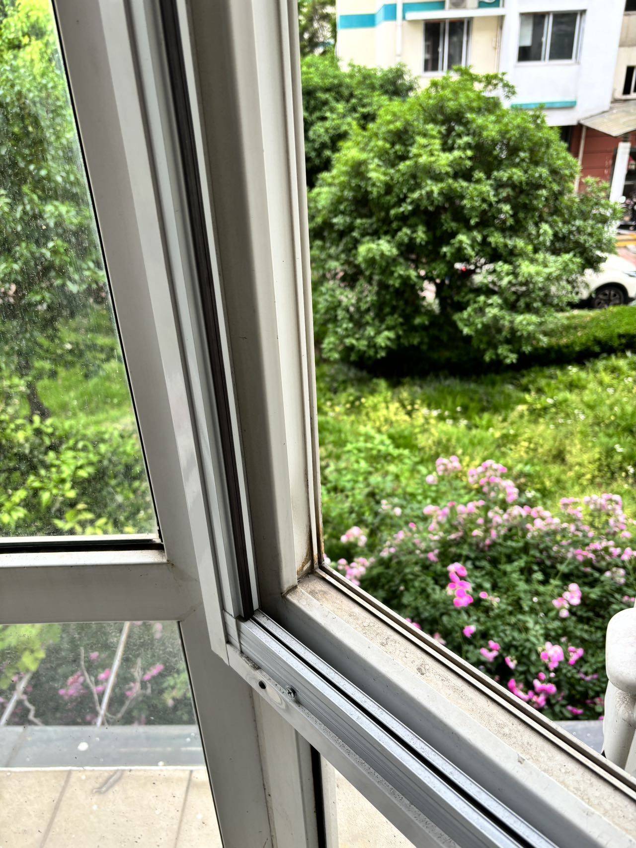 上海 宝山 | 远景佳苑1期_4