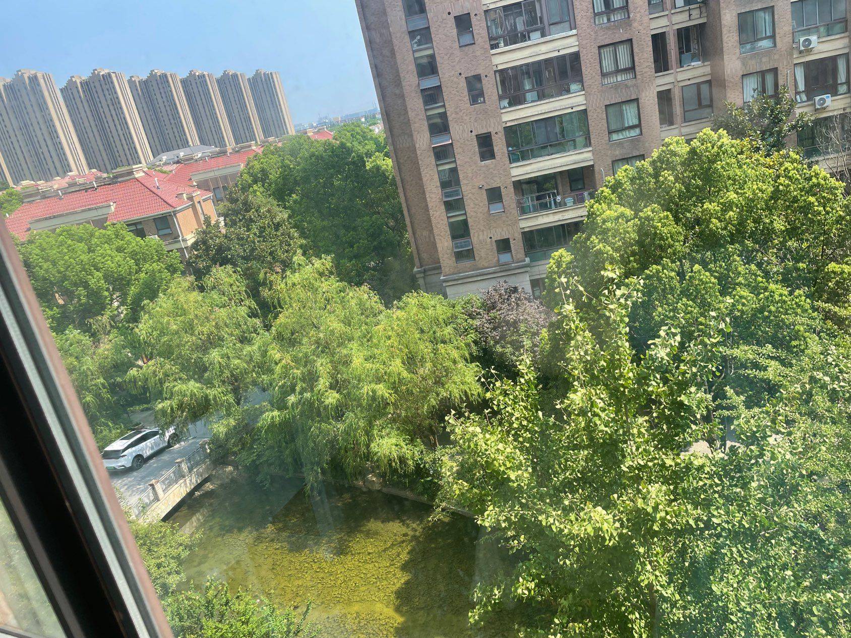上海-浦東-乾淨治愈,不限性別