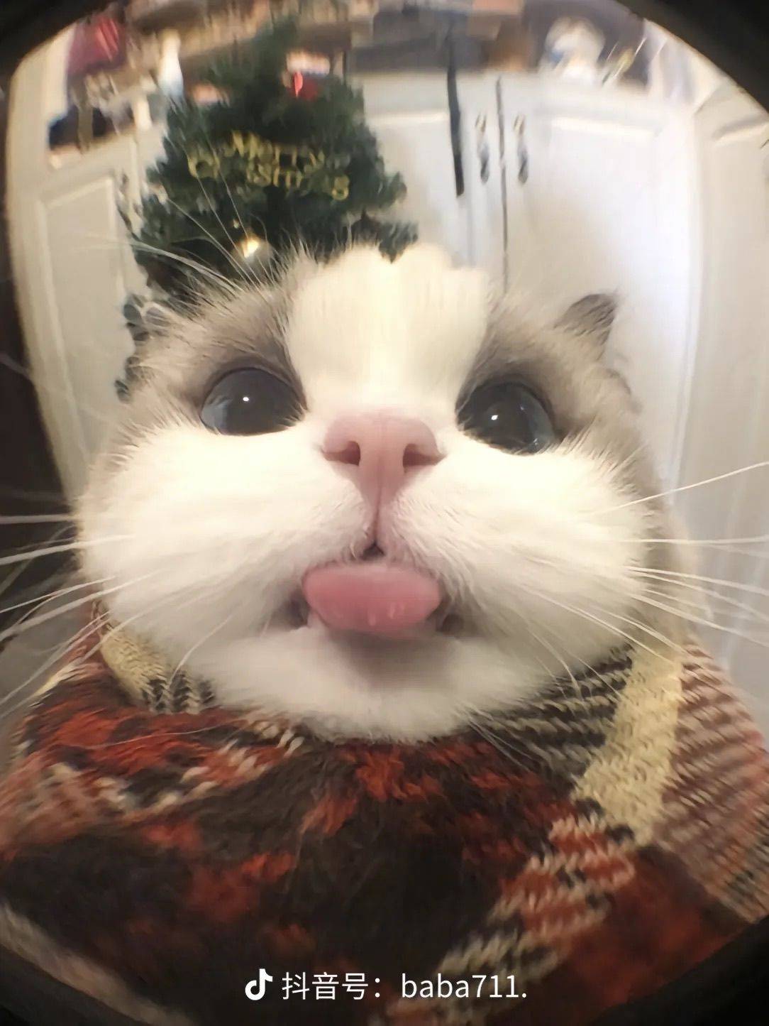 626