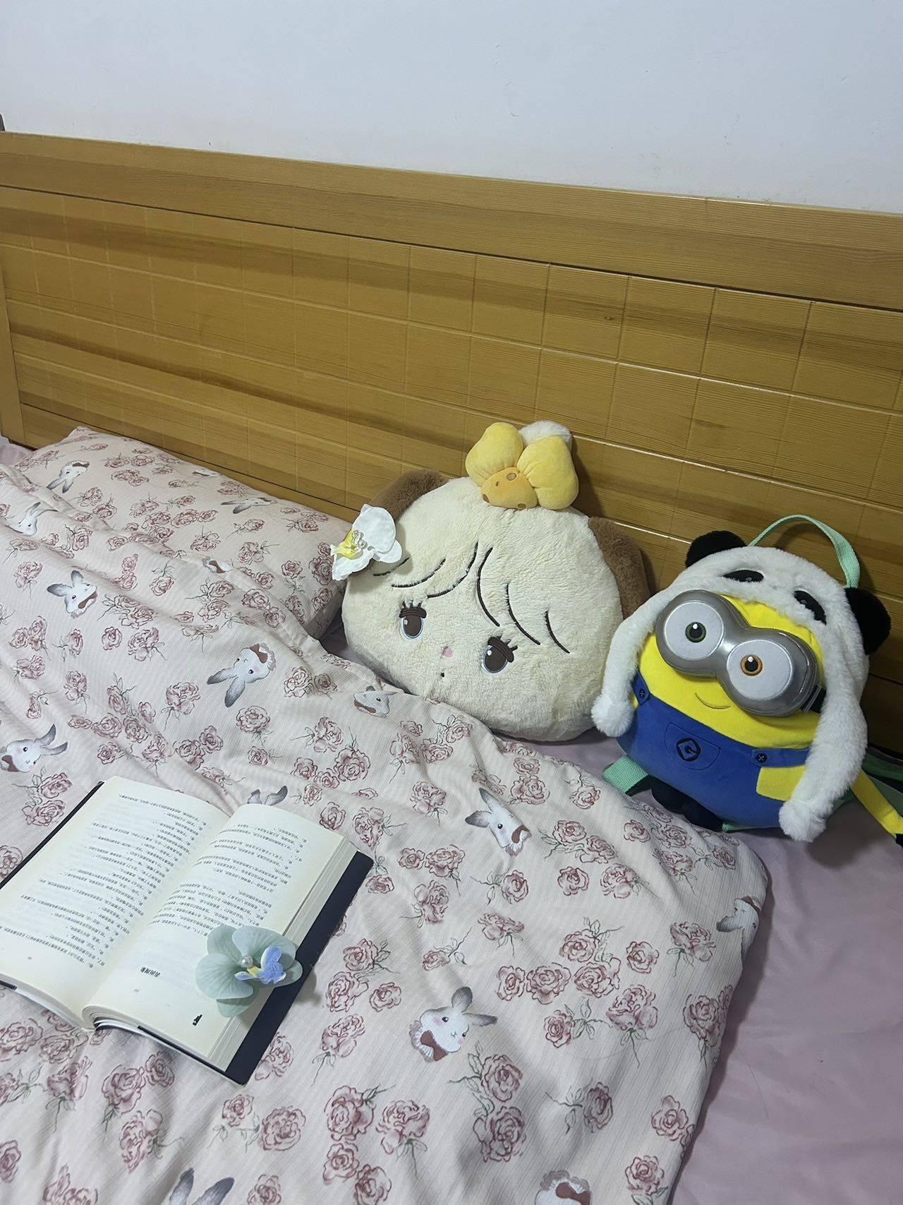 孤独的狼整租房源2