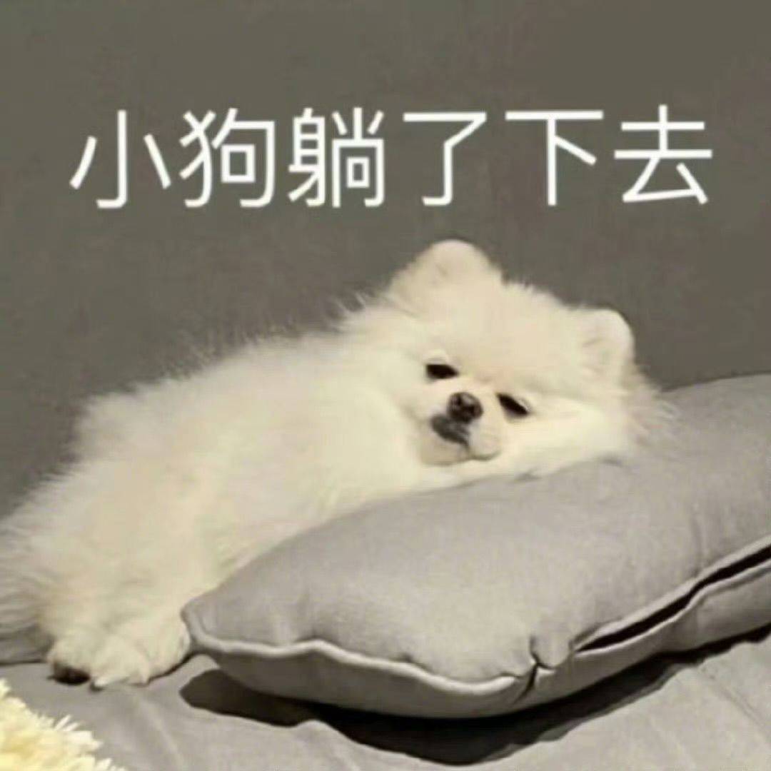 小白