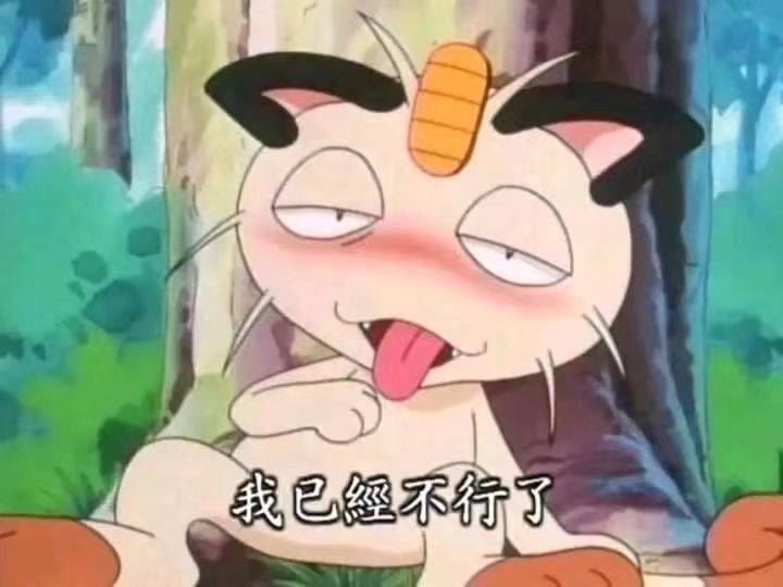 猴