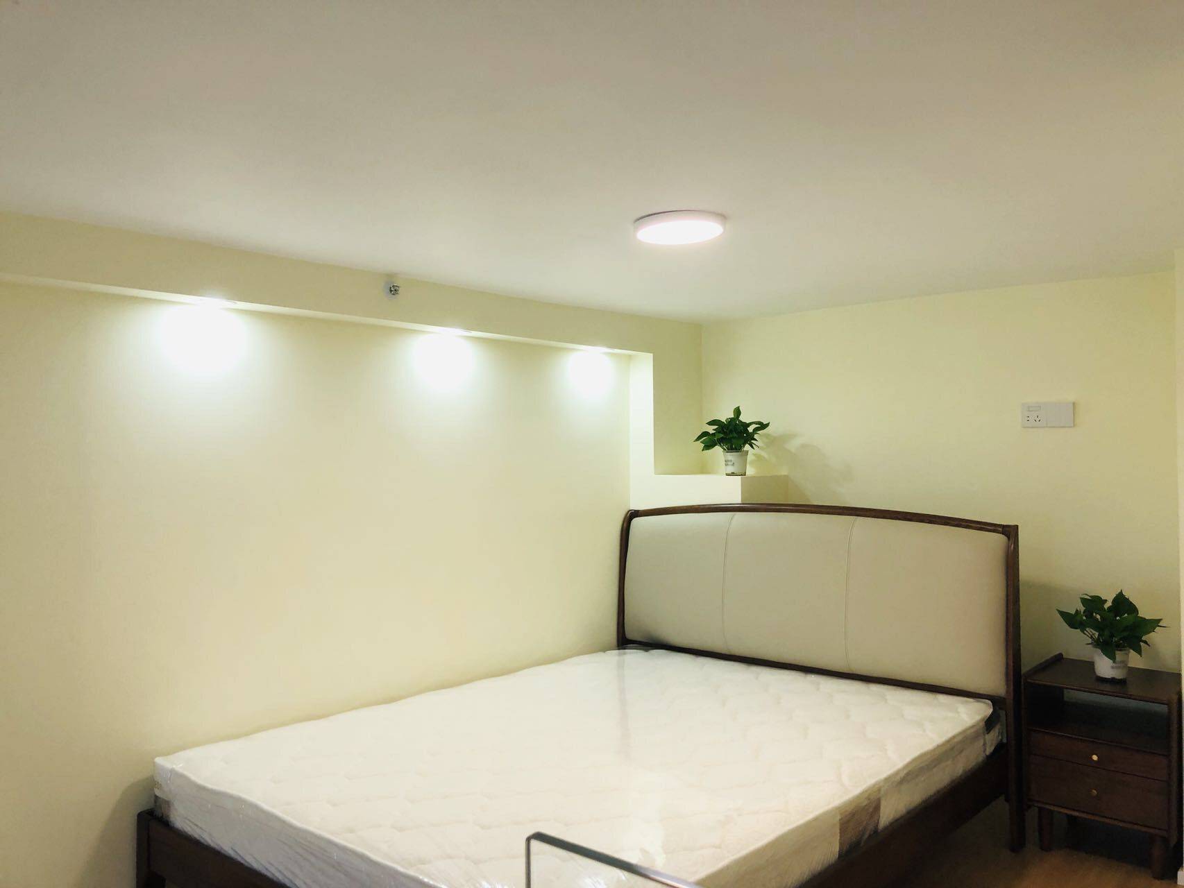 Chengdu-Shuangliu-Pet Friendly