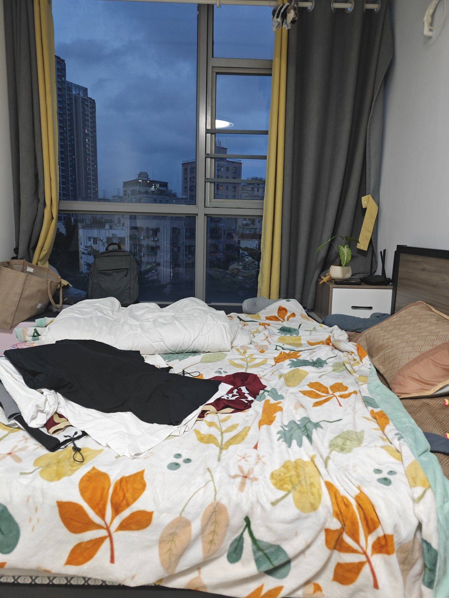 Shenzhen-BaoAn-Cozy Home,Clean&Comfy,No Gender Limit,Hustle & Bustle,Chilled,Pet Friendly