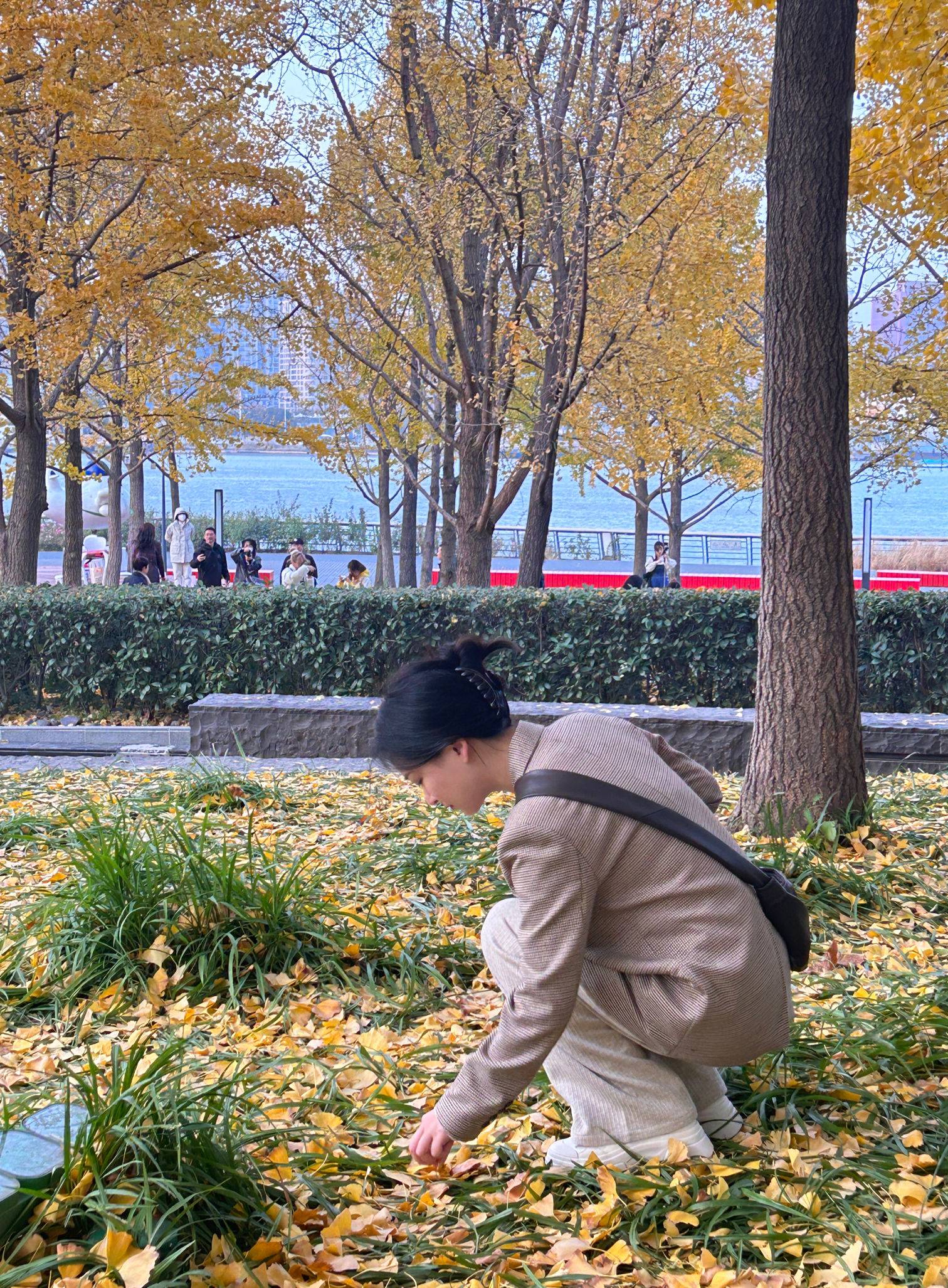 life_photo_2
