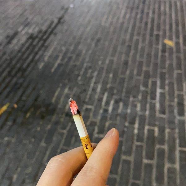 黎白南