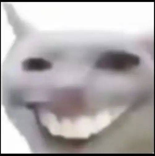 司