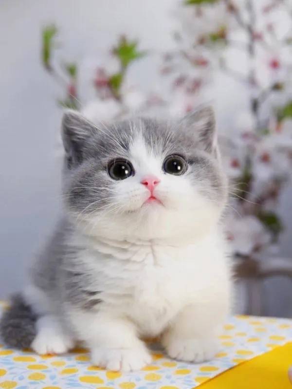 秋意微醺时