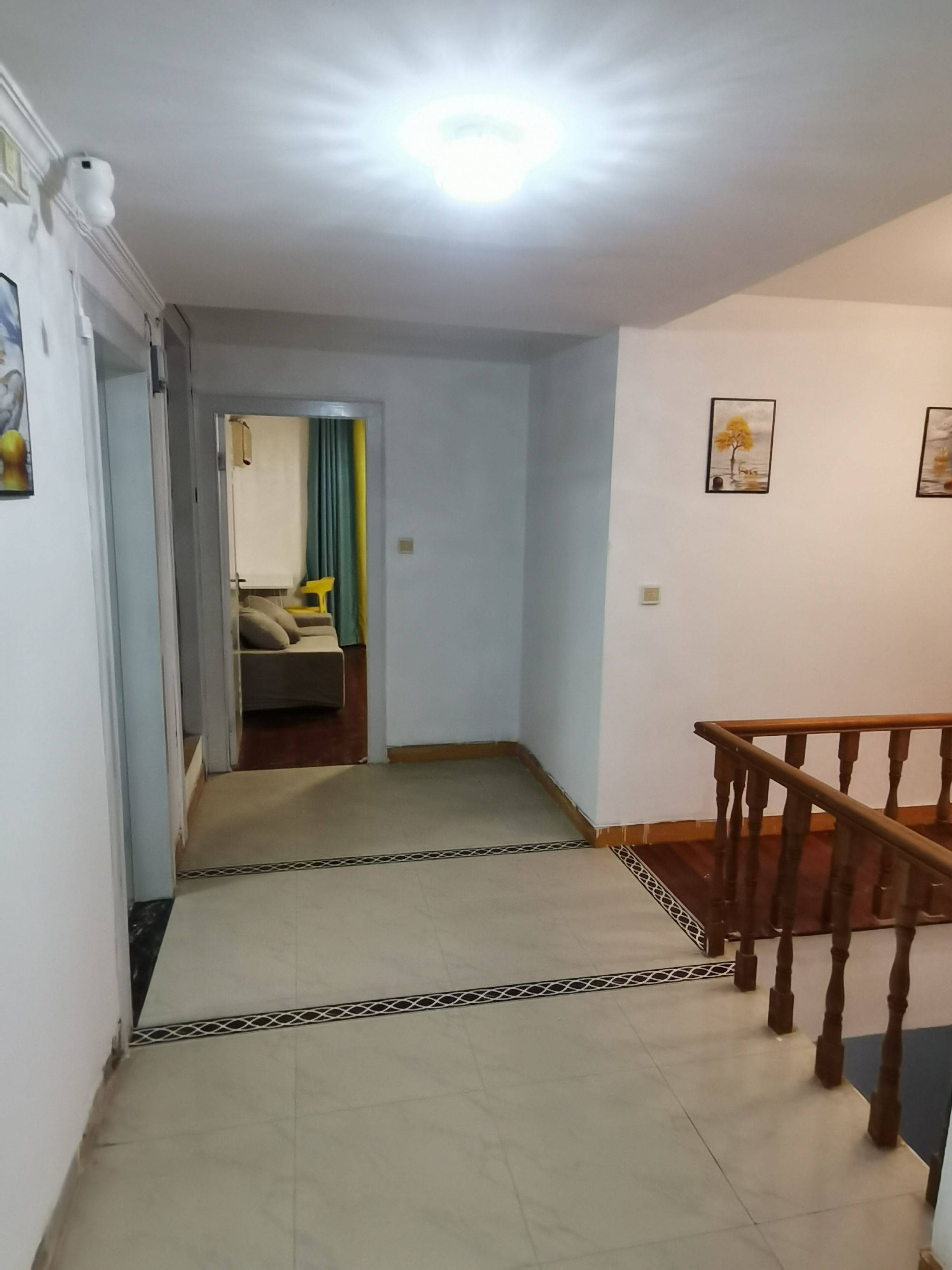 Suzhou-Gusu-Pet Friendly