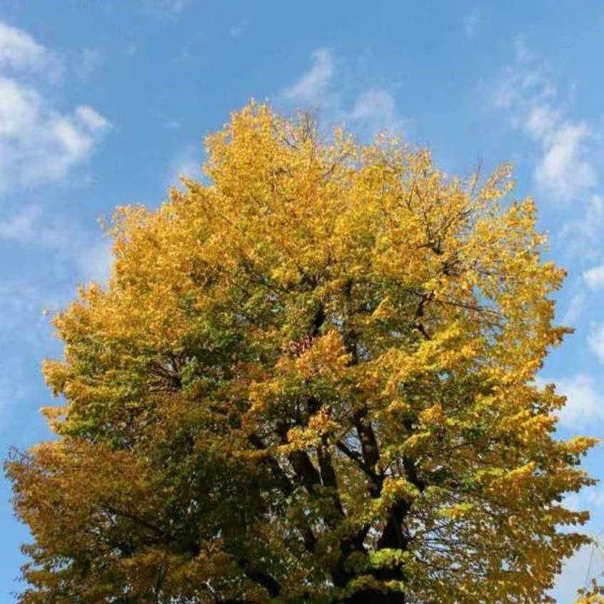 万象城地铁口精致公寓