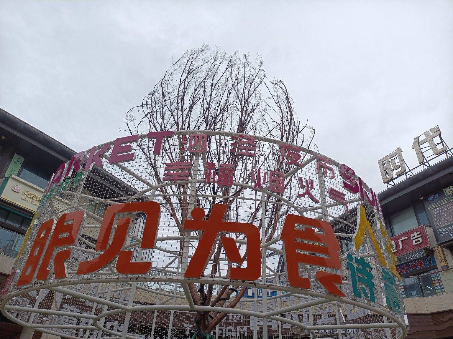 上海-松江-溫馨小窩,乾淨治愈,不限性別,寵物友好