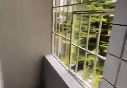 Nanshan 南玻花园