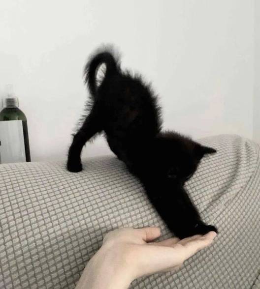 转租