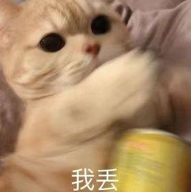qixin0077