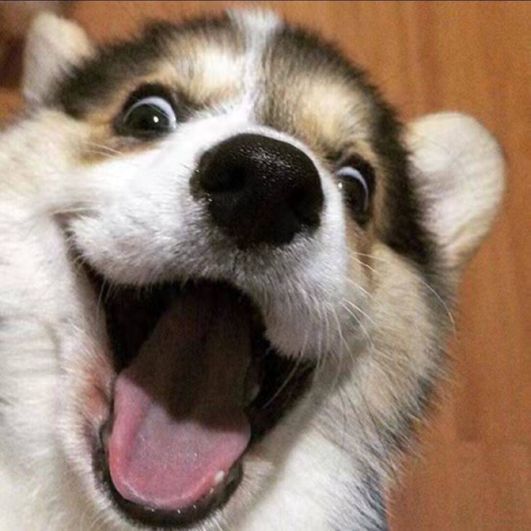 O.o