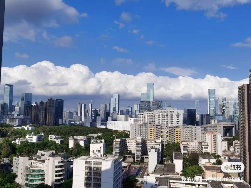 深圳-南山-干净治愈,市井烟火气,宠物友好