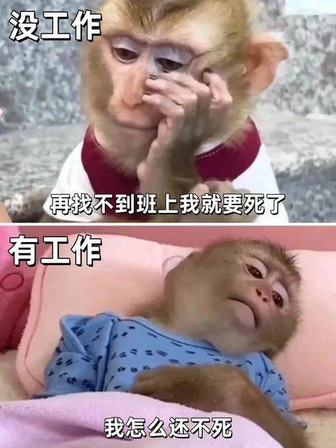 西格玛