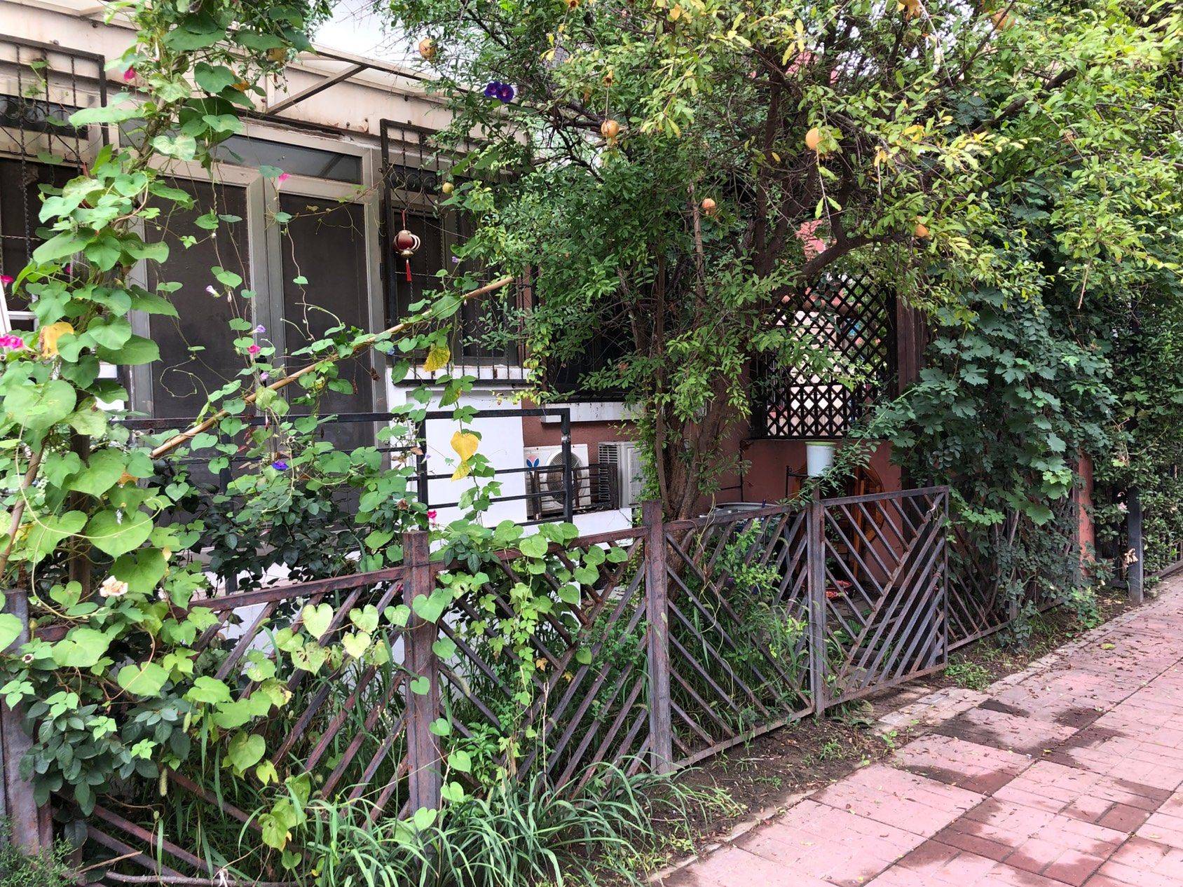 Beijing-Changping-Cozy Home,Clean&Comfy,No Gender Limit,Hustle & Bustle,“Friends”,Pet Friendly