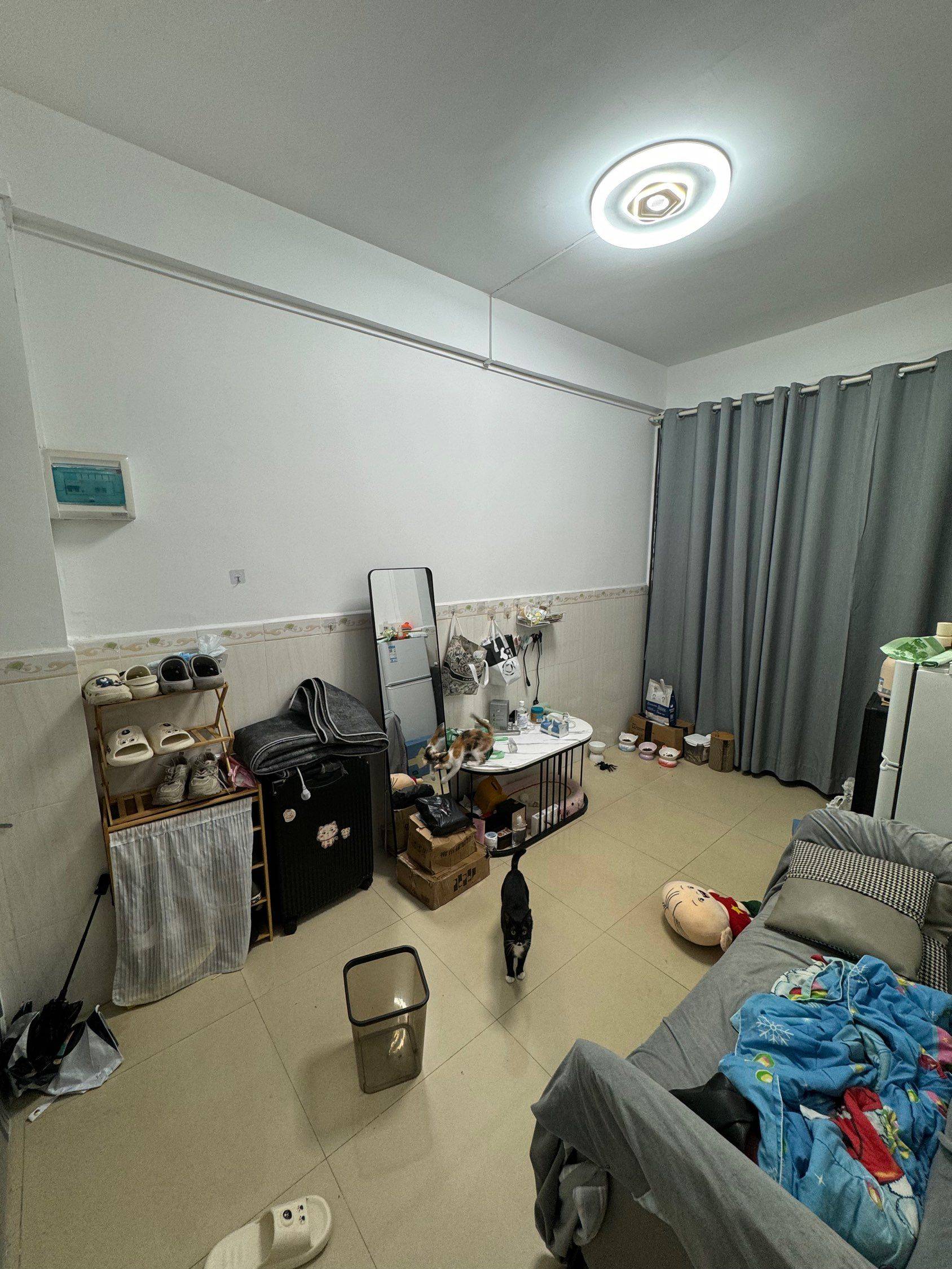 Guangzhou-Baiyun-Cozy Home,Clean&Comfy,No Gender Limit,Hustle & Bustle