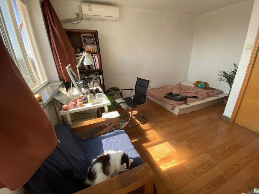 Beijing-Chaoyang-Cozy Home,Clean&Comfy,Hustle & Bustle,LGBTQ Friendly