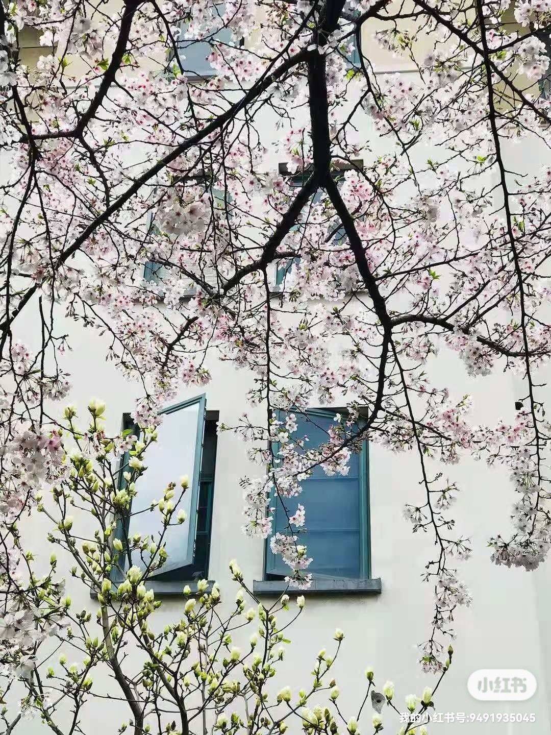 Ningbo-Yinzhou-Cozy Home,Clean&Comfy